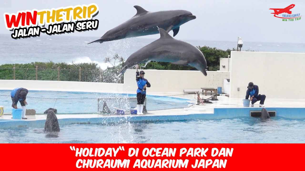 “Holiday“ di Ocean Park dan Churaumi Aquarium Japan