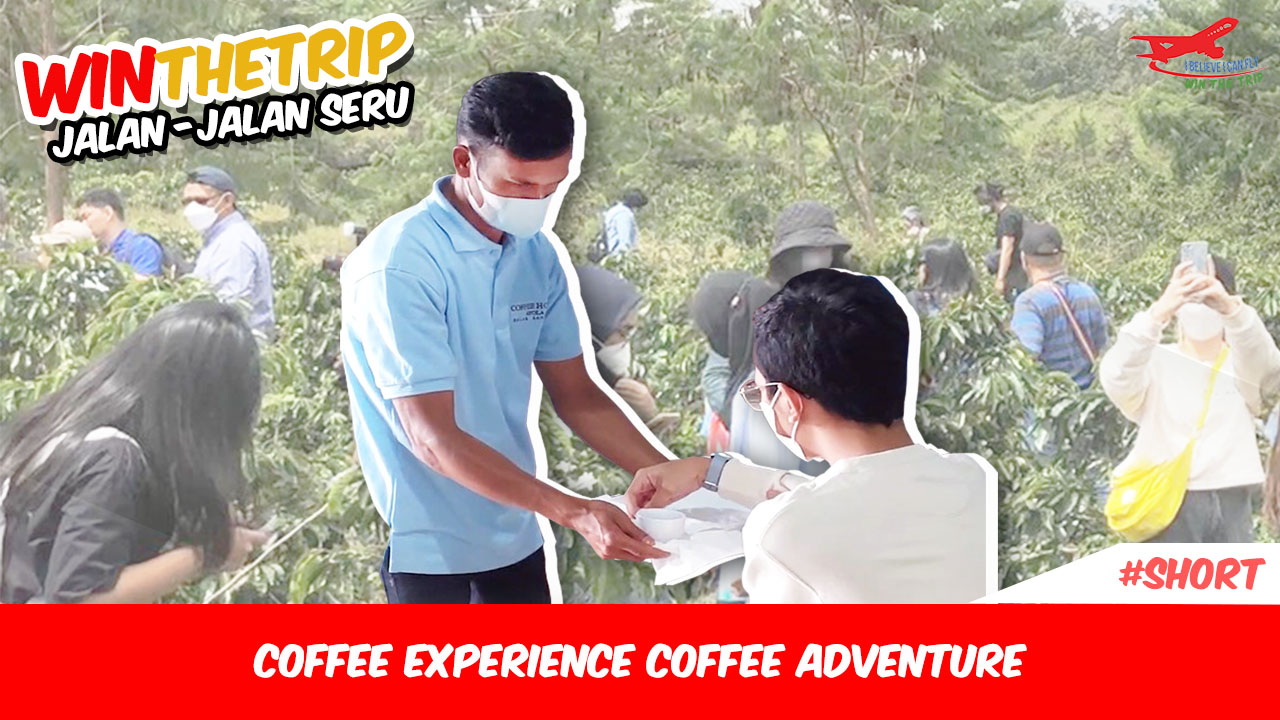 Coffee Experience Coffee Adventure