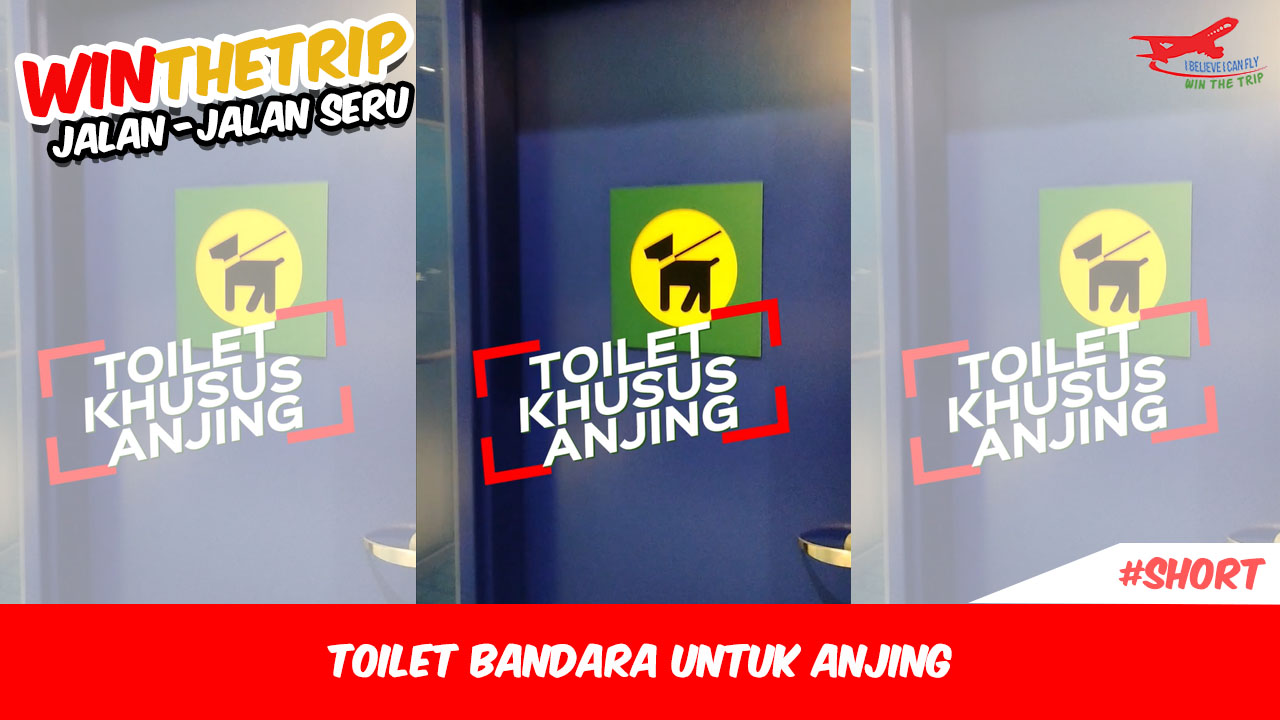 Toilet Bandara untuk Anjing
