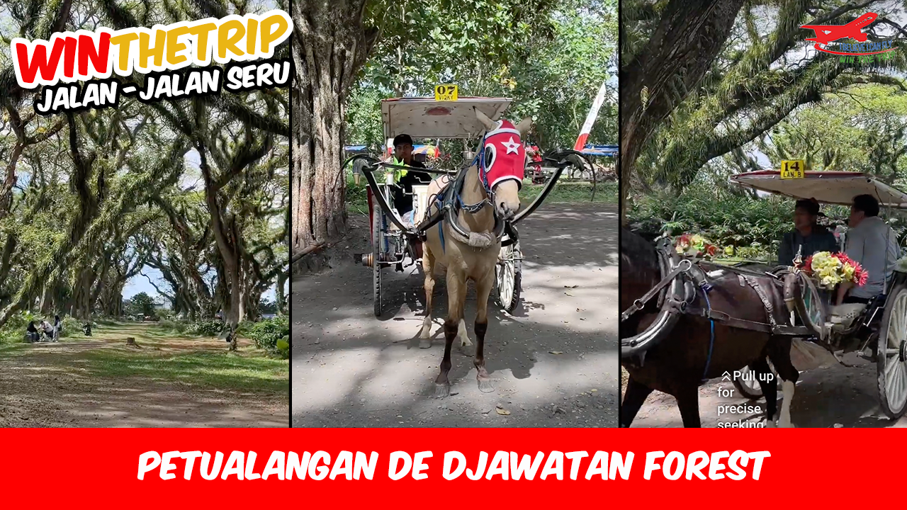 Petualangan De Djawatan Forest