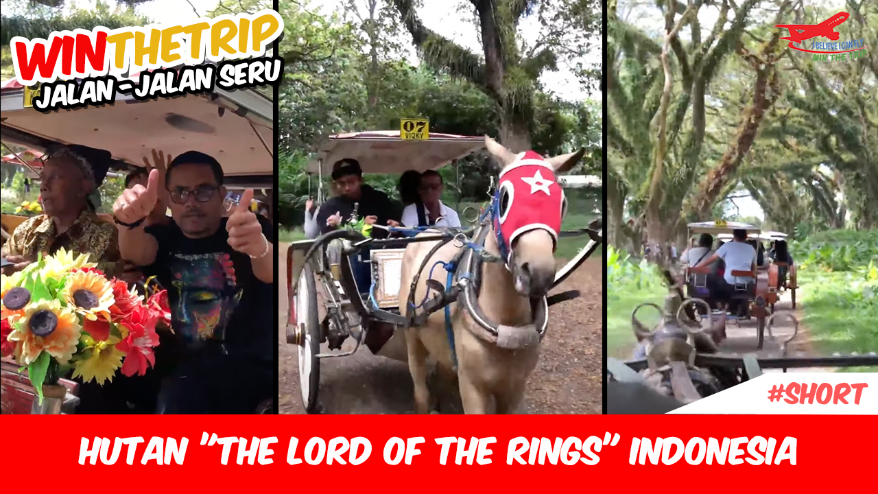 Sobat WinTheTrip Berbagi Cerita Kawah Ijen #Short