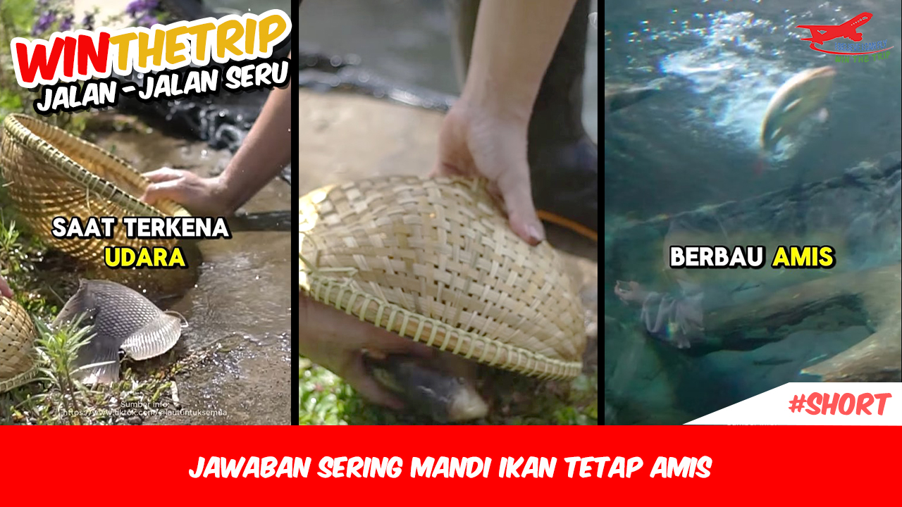 Jawaban Sering Mandi Ikan Tetap Amis