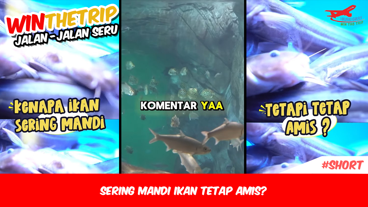 Sering Mandi Ikan Tetap Amis?