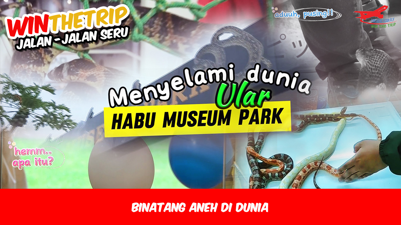Menyelami Dunia Ular Habu Museum Park