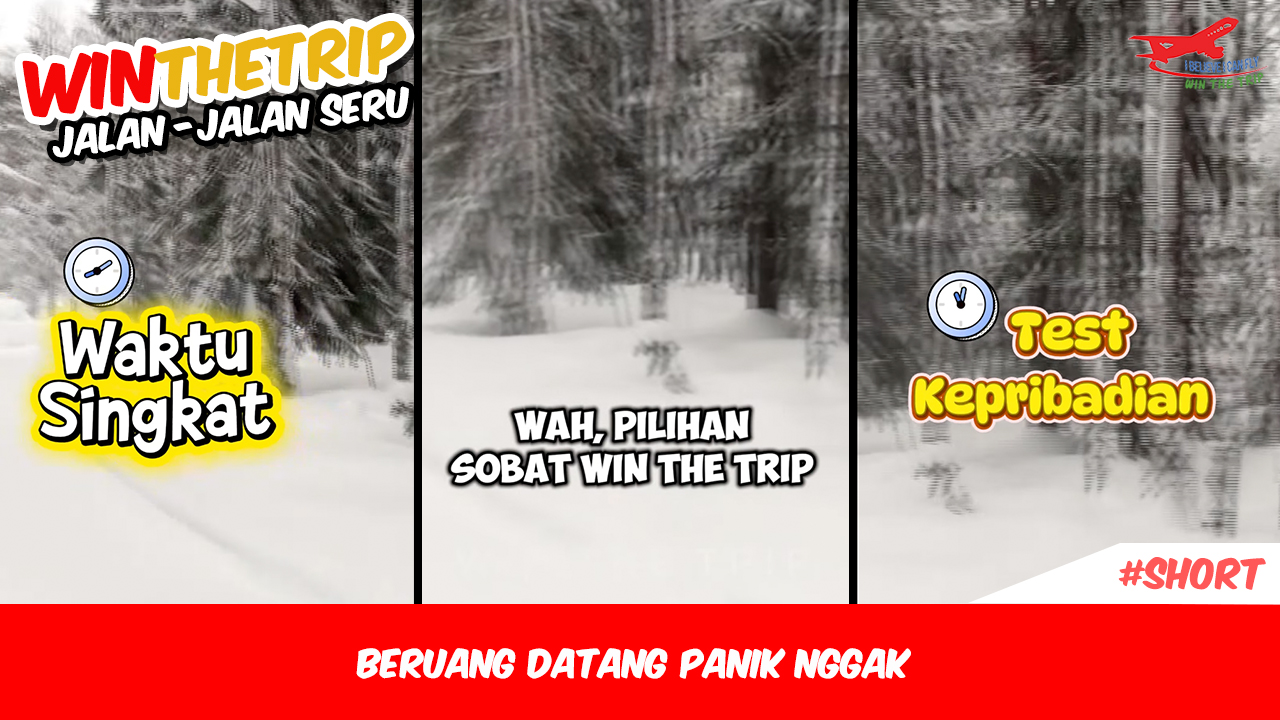 Beruang Datang Panik Nggak