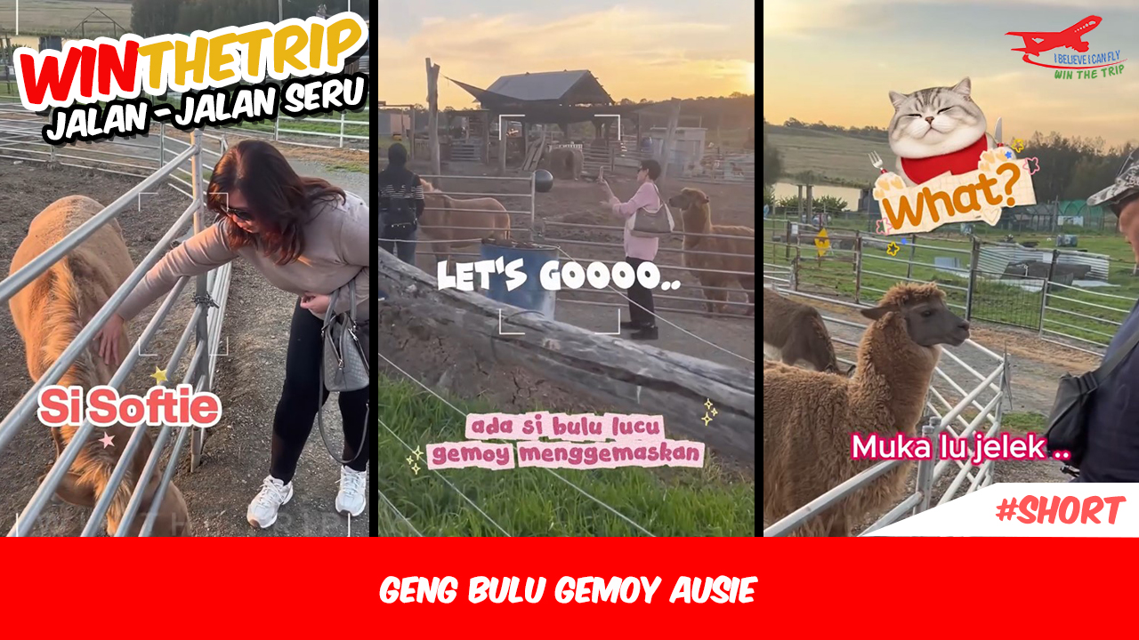 Geng Bulu Gemoy Ausie