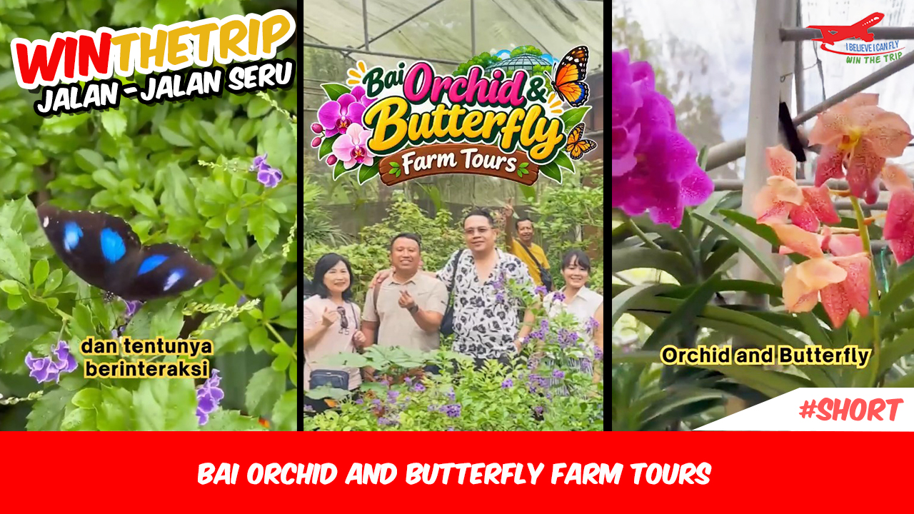 Bai Orchid and Butterfly Farm Tours