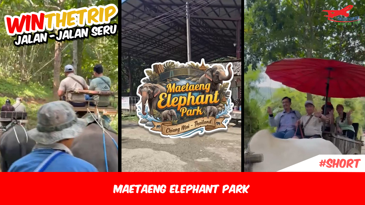 Maetaeng Elephant Park